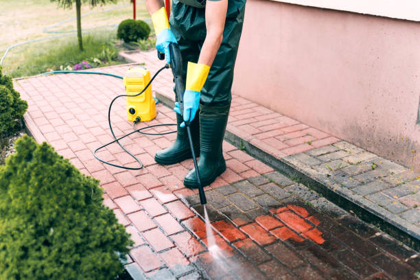 Best Affordable Power Washing  in Hohenwald, TN