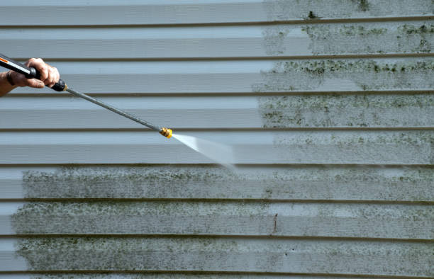 Best Roof Power Washing Services  in Hohenwald, TN