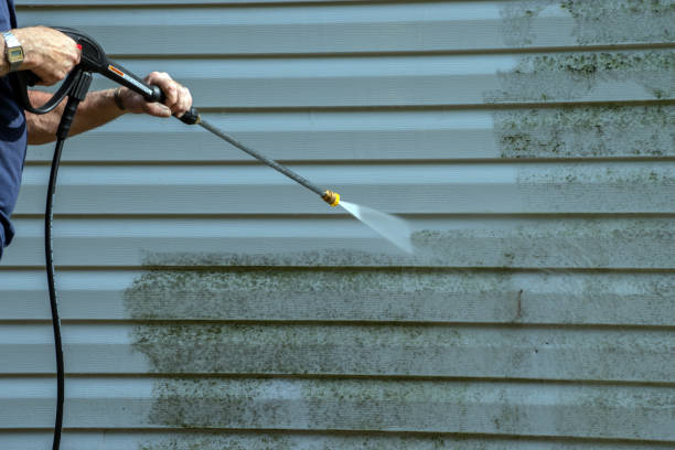 Best Concrete Pressure Washing  in Hohenwald, TN