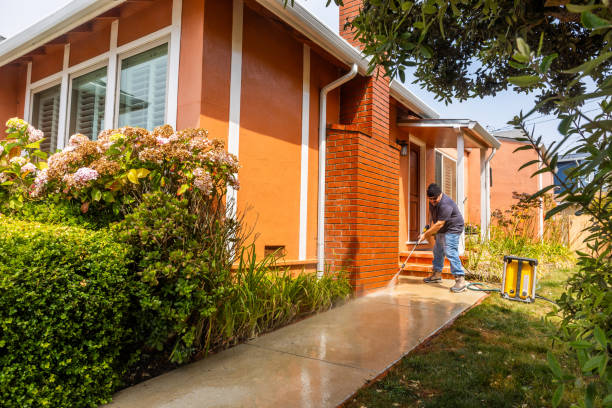 Best Commercial Building Pressure Washing  in Hohenwald, TN