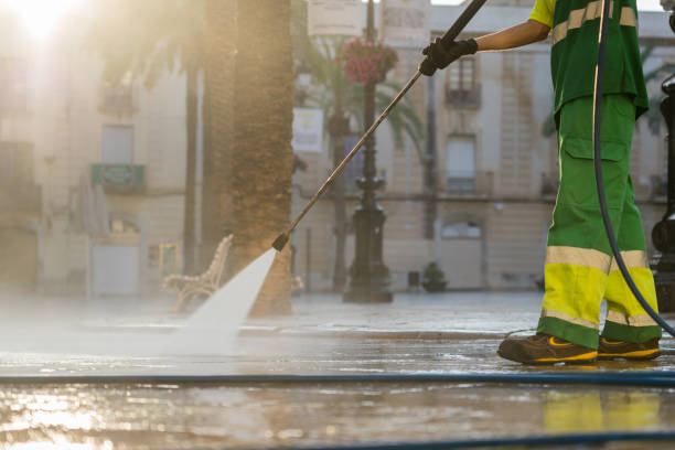 Best Local Pressure Washing Services  in Hohenwald, TN