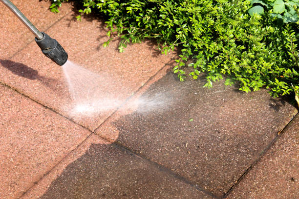 Best Pressure Washing Near Me  in Hohenwald, TN